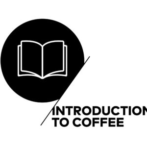 CSP icons v2 artwork Introduction CSP icons v2 artwork Introduction